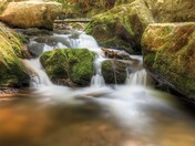 Great Smoky Mountains National Park