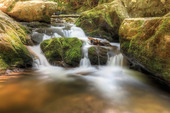 Great Smoky Mountains National Park