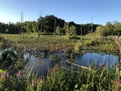 Cuyahoga Valley National Park