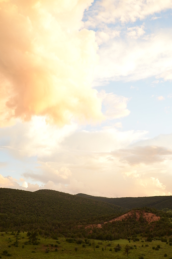 Gila National Forest