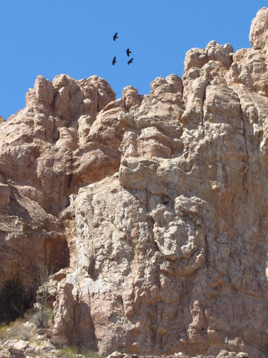  BLM in San Simon, Safford Field Office