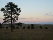 Gila National Forest, Reserve Ranger District