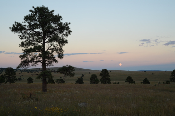 Gila National Forest, Reserve Ranger District