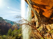 Zion National Park 