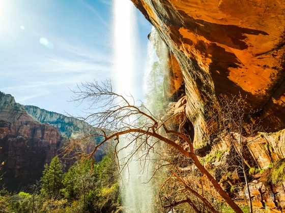 Zion National Park 