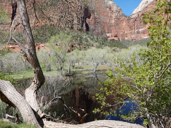 Zion National Park 