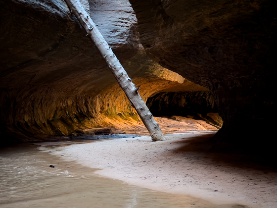 Zion National Park