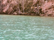Olympic National Park
