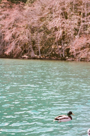 Olympic National Park