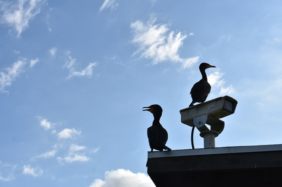Everglades National Park 