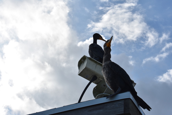 Everglades National Park 