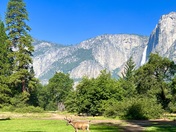 Yosemite National Park