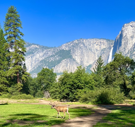 Yosemite National Park