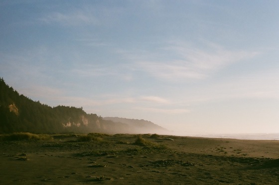 Redwoods National Park