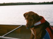 Boundary Waters Canoe Area Wilderness 