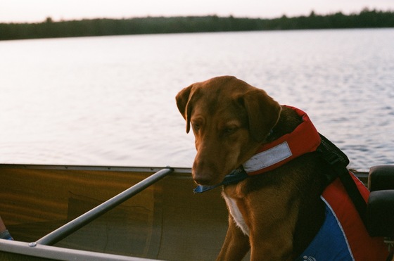 Boundary Waters Canoe Area Wilderness 