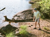 Boundary Waters Canoe Area Wilderness 