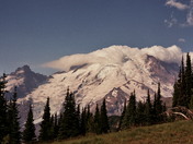 Mount Rainier National Park 