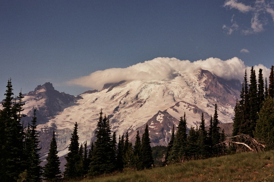 Mount Rainier National Park 