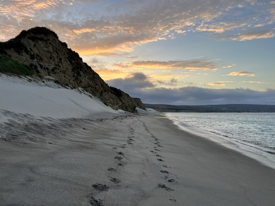 Channel Islands National Park
