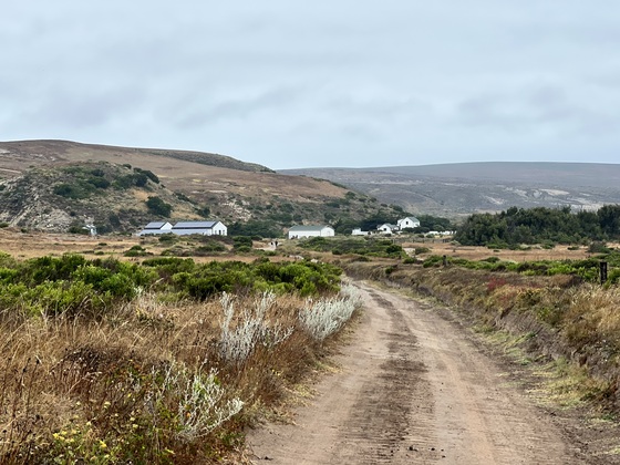 Channel Islands National Park