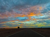 Sonny Bono National Wildlife Refuge