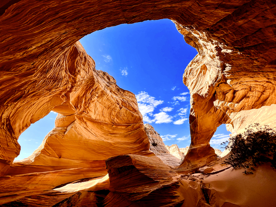 Melody Arch