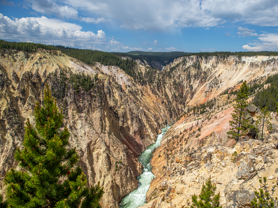 Yellowstone National Park