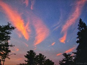 I looked up to the sky ... (angel wings) 