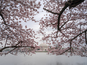 National Mall