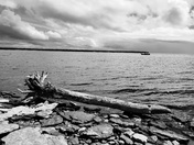 Black and White Photo