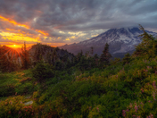 Mount Rainier National Park