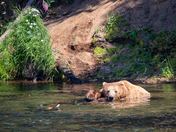 Katmai National Park