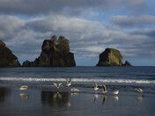 Olympic National Park