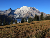 Mt Rainier National Park