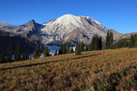 Mt Rainier National Park