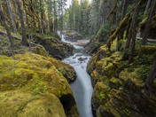 Silver falls, Mt. Rainier national Park 