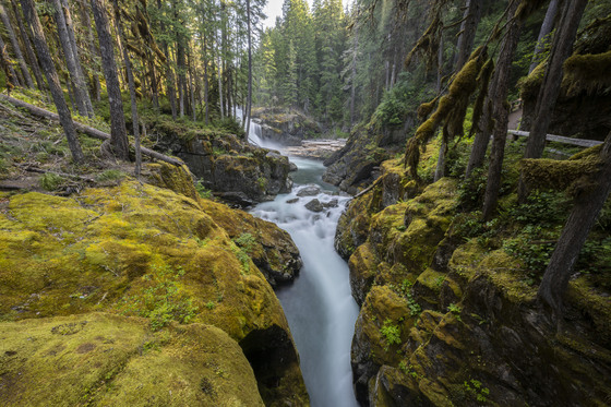 Silver falls, Mt. Rainier national Park 