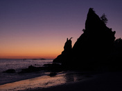 Olympic national park 