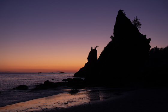 Olympic national park 