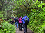 Tongass National Forest
