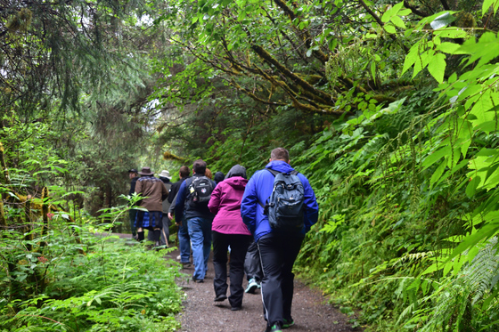 Tongass National Forest