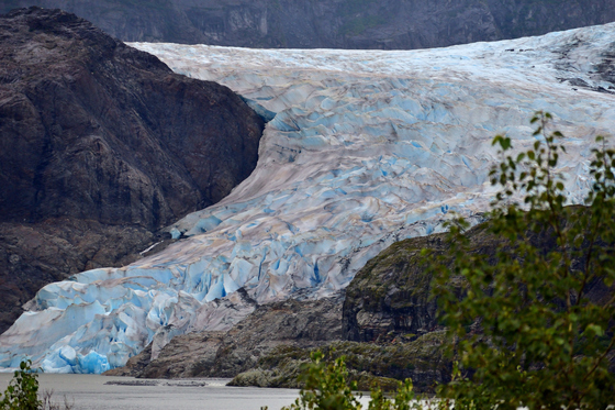 Tongass National Forest