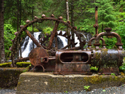 Tongass National Forest