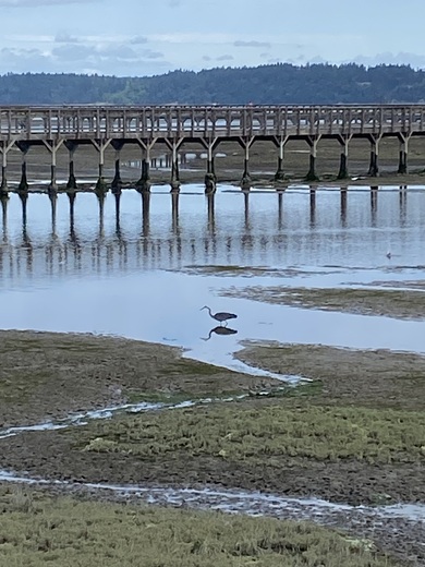Billy Frank Jr. Nisqually National Wildlife Refuge