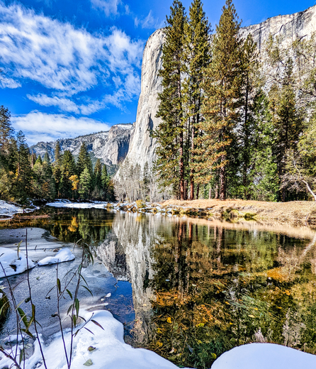 Yosemite National Park