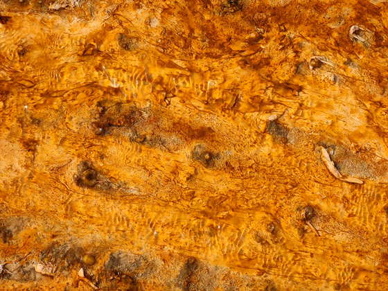 Yellowstone National Park