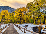 Yosemite National Park