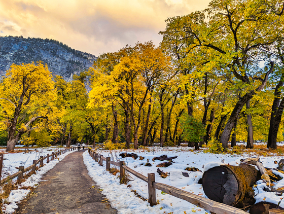 Yosemite National Park