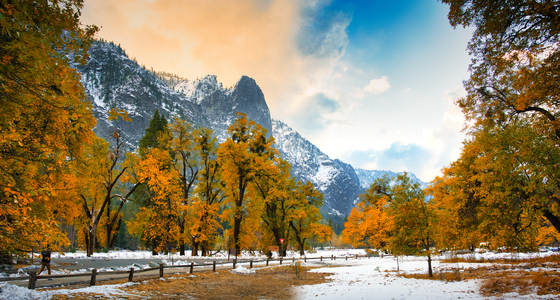 Yosemite National Park